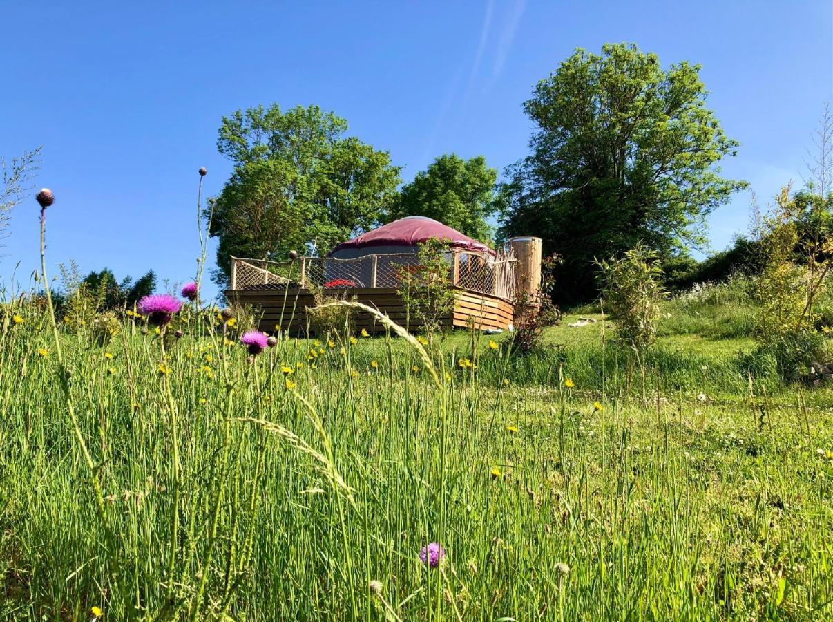 Yourte 2-4 personnes avec SPA Saint-Laurent-de-Lévézou Extérieur photo